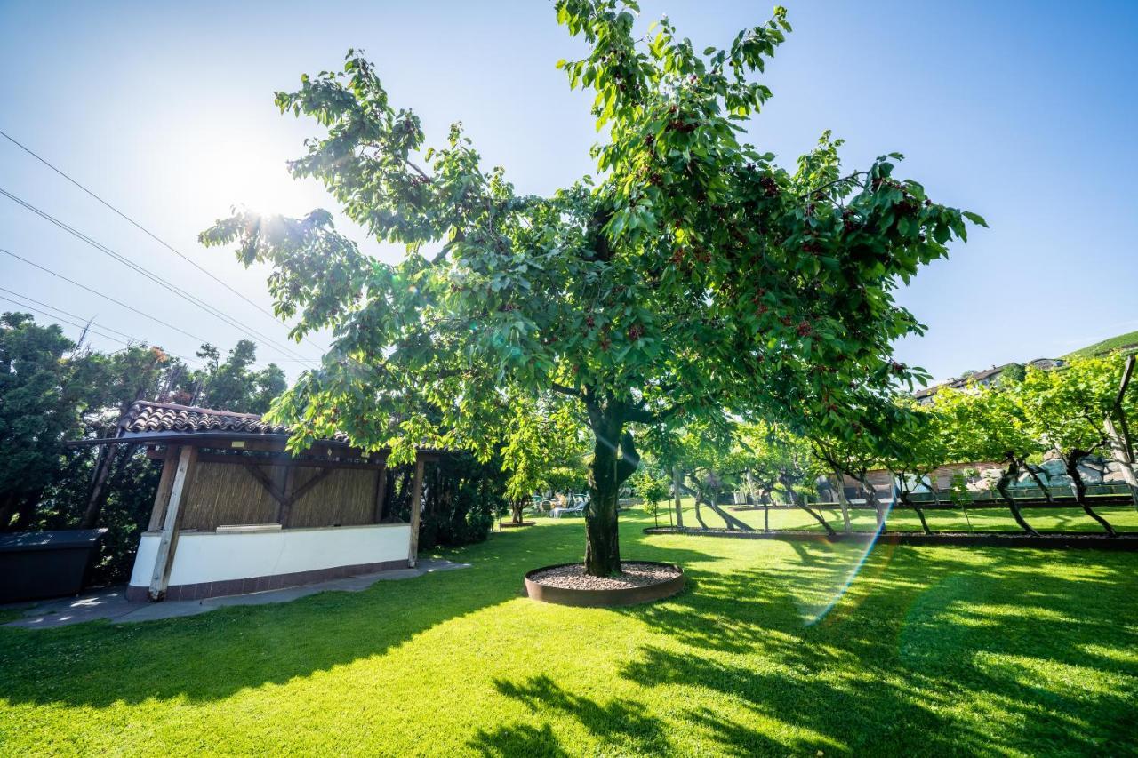 Hotel Frangart An Der Weinstrasse Appiano Sulla Strada Del Vino Exterior photo